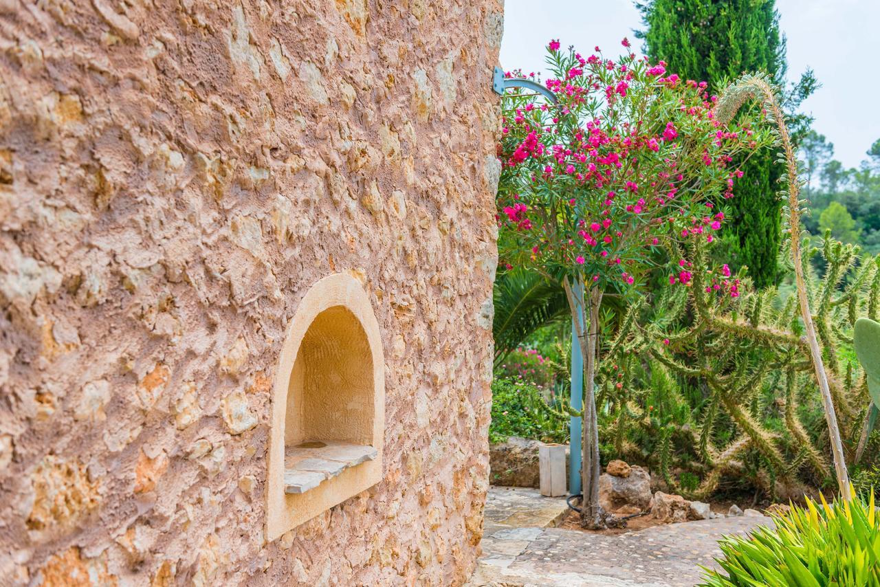 Pina - Eco Pina - Costitx (Mallorca)
