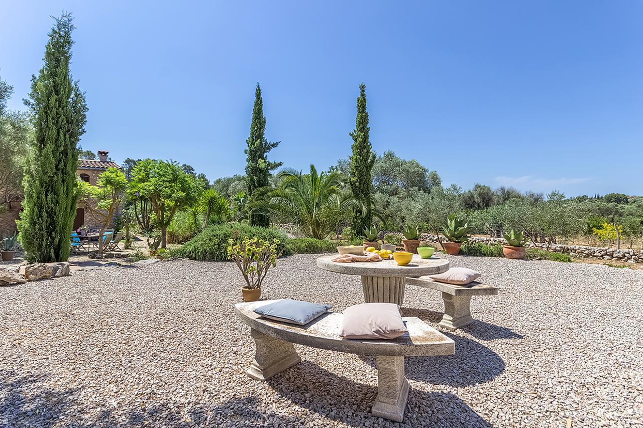 Pina - Eco Pina - * Costitx (Mallorca)