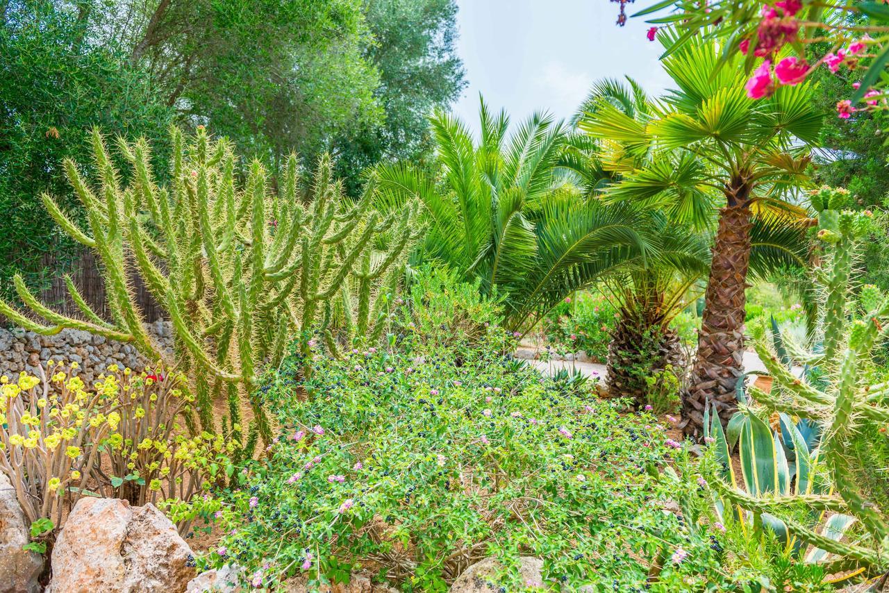 Villa Pina - Eco Pina -