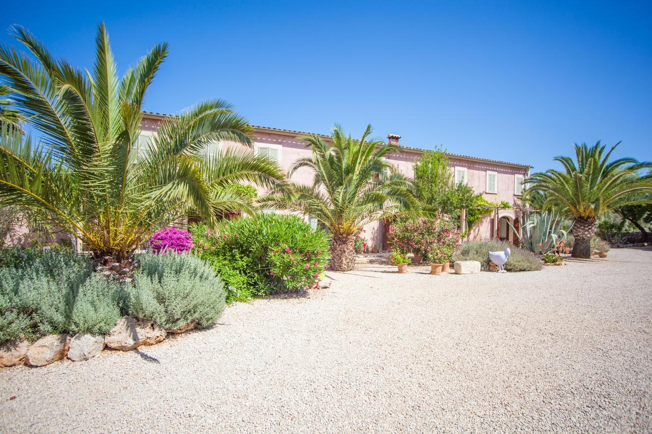 Pina - Eco Pina - Villa